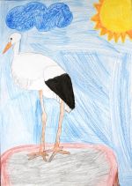 Čuntalová Viki.jpg